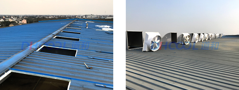 浙江榮晟造紙車間屋頂排風(fēng)案例 成功案例 第6張-嘉興道和環(huán)境科技有限公司